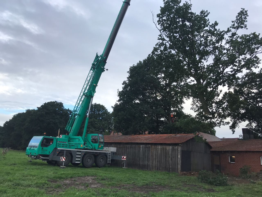 Mobilkran arbeitet an großen Eichen am Hof, Kronenteile werden kontrolliert über Scheunendach hinweg aufgenommen.